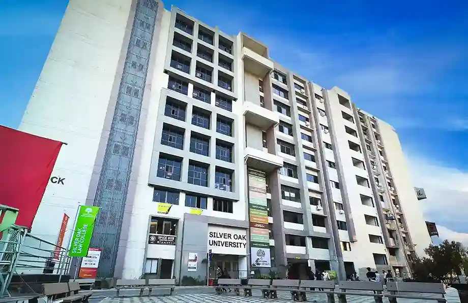 Silver Oak University